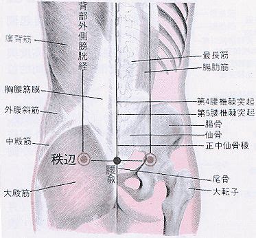 四瀆穴|醫砭 » 經穴庫 » 四瀆